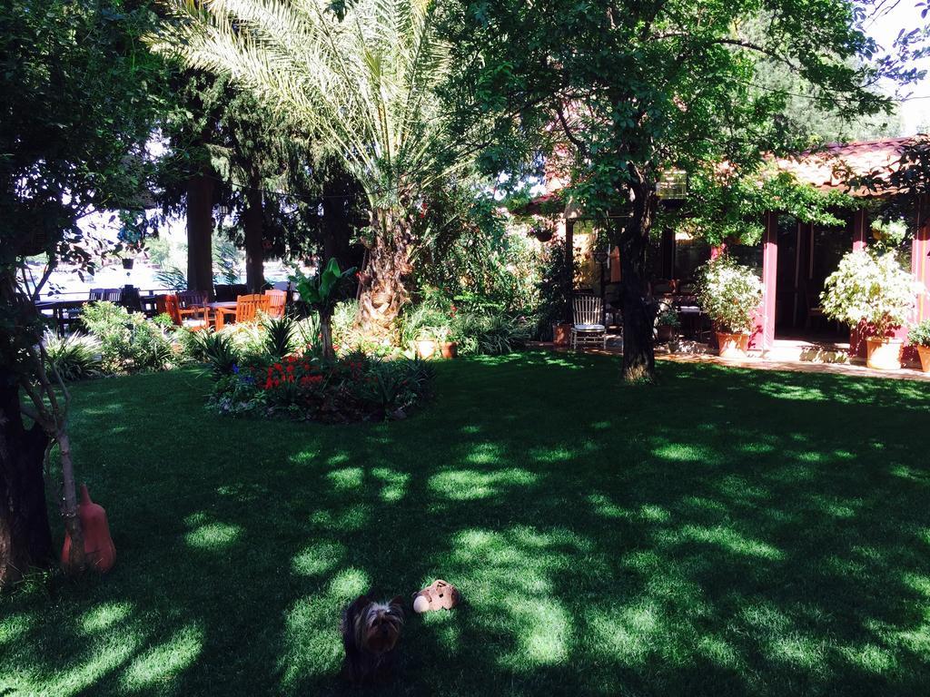 Hotel Happy Caretta Dalyan Exterior foto