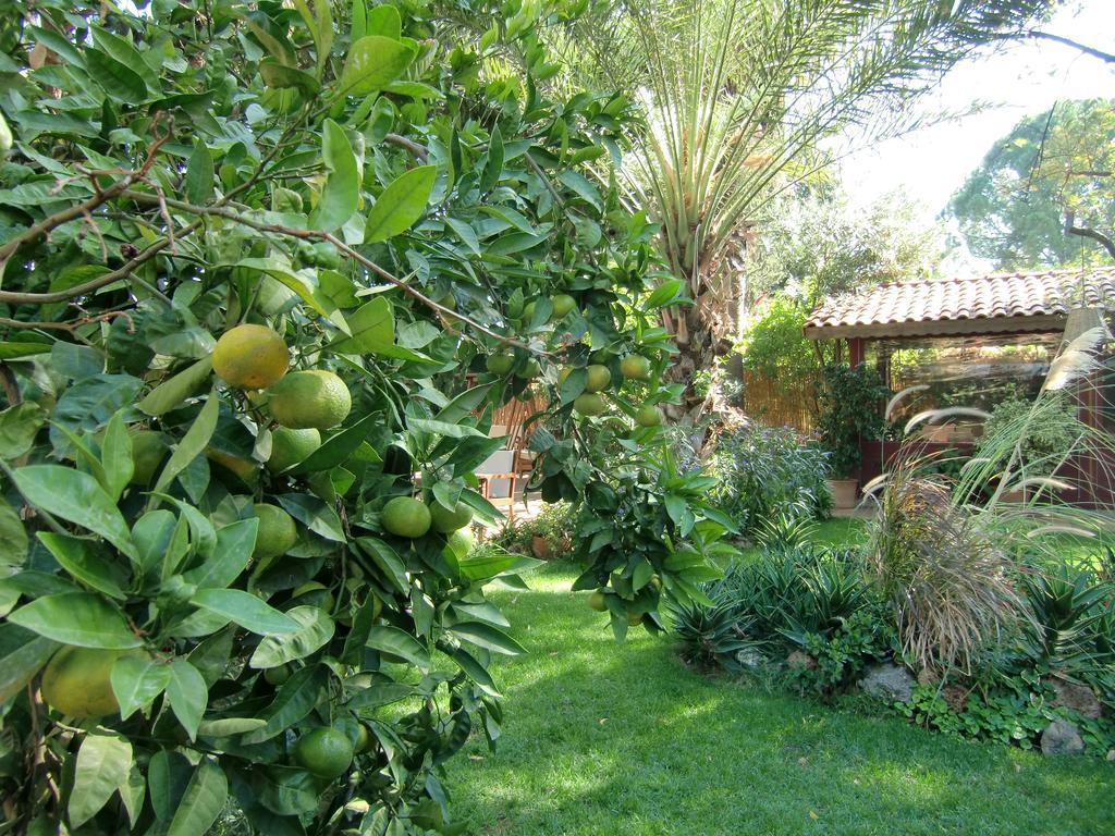 Hotel Happy Caretta Dalyan Exterior foto