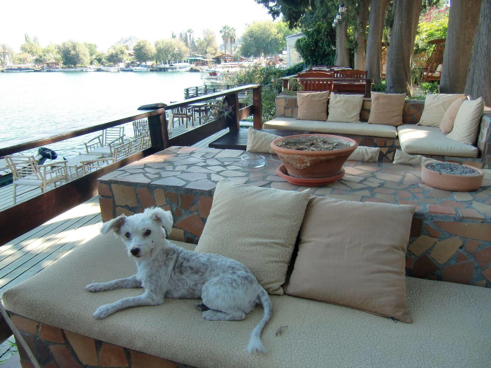 Hotel Happy Caretta Dalyan Exterior foto